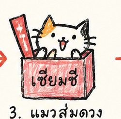 แมวสุ่มดวง